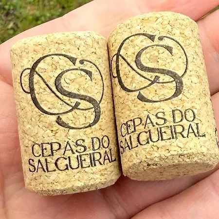 Cepas Do Salgueiral - - Centro De