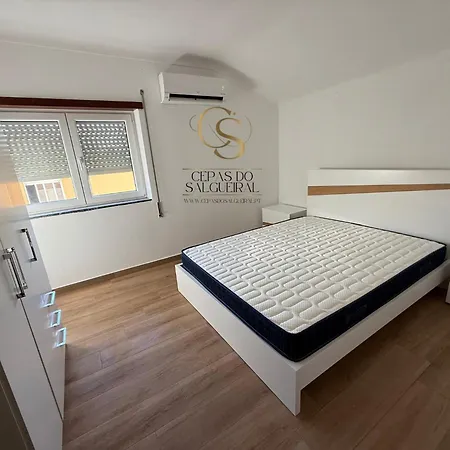 Cepas Do Salgueiral - - Centro De Apartman *