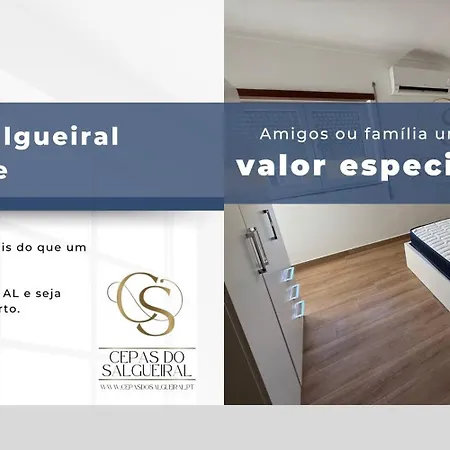 Cepas Do Salgueiral - - Centro De Lejlighed Tondela