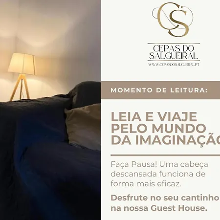 Cepas Do Salgueiral - - Centro De Apartman