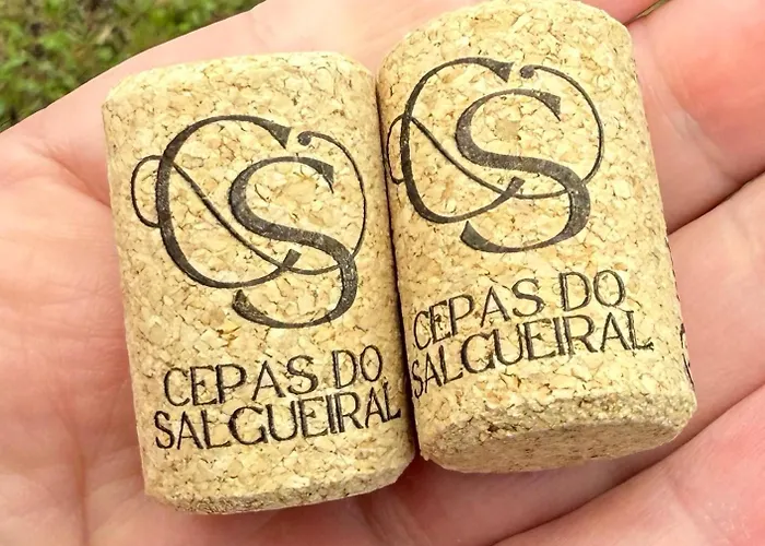 Cepas Do Salgueiral - - Centro De