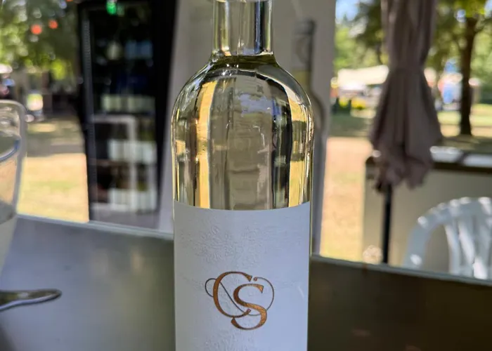 Cepas Do Salgueiral - - Centro De アパート *