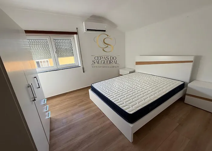 Cepas Do Salgueiral - - Centro De アパート *