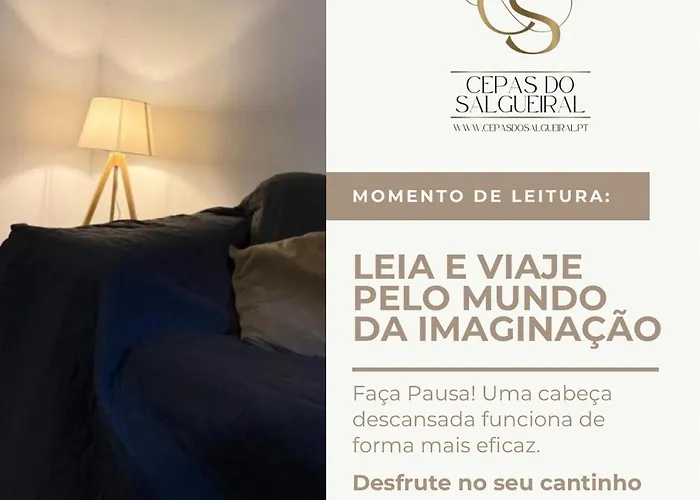 Cepas Do Salgueiral - - Centro De アパート