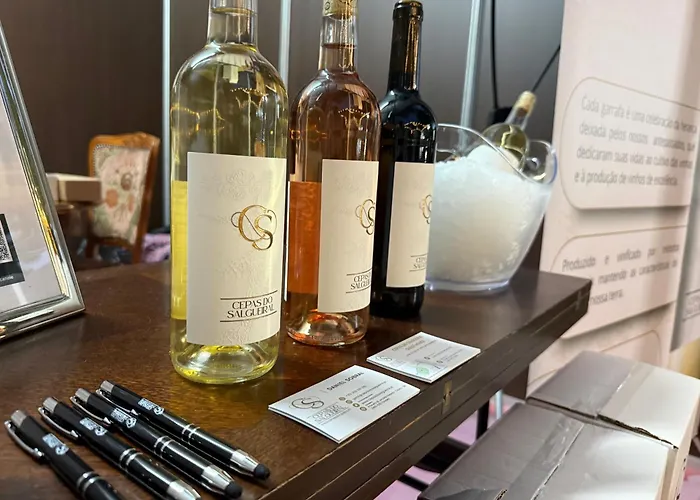 Cepas Do Salgueiral - - Centro De * トンデラ